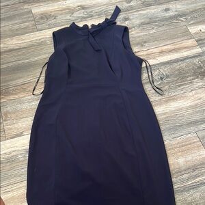 Calvin Klein Sheath dress